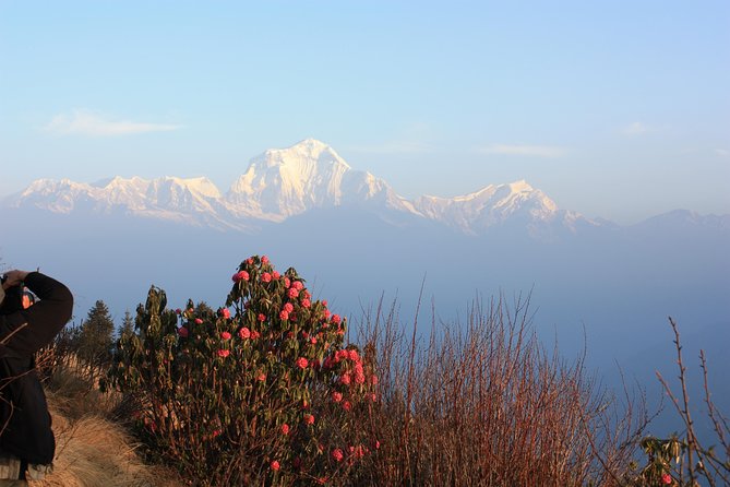 Annapurna Poon Hill Trekking – 4 Days From Pokhara