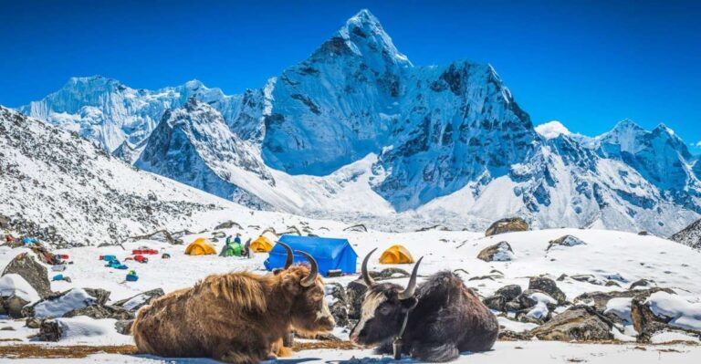 Everest Base Camp Trek: Majestic Himalayan Adventure Expert
