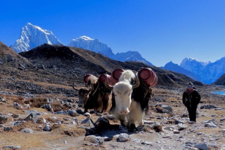 From Kathmandu : Gay and Lesbian Trek to Everest Base Camp