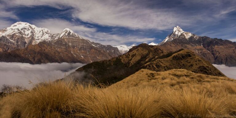 Mardi Himal Trek: 5 Days Mardi Trek From Pokhara