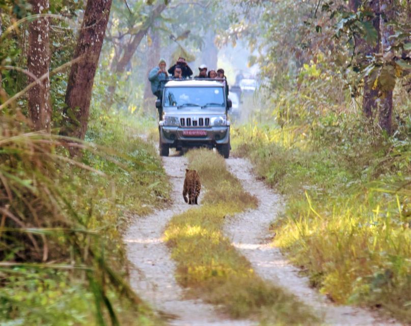 1 Night 2 Day Chitwan Jungle Safari Tour - Inclusions and Accommodation Details