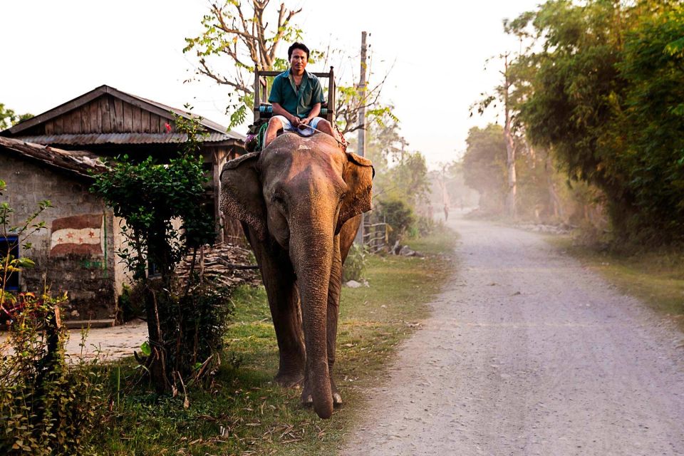 3 Day Nepal Chitwan Jungle Safari Tour From Kathmandu - Booking Information