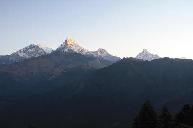 5-Day Ghorepani Poon Hill Trek in Annapurna Region - Meal Plan