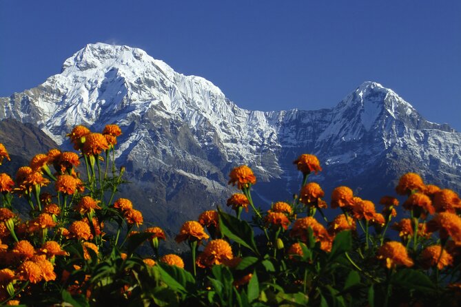 5 Days Annapurna Base Camp Trek - Weather and Best Time to Go