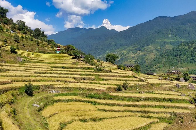 5 Days Ghorepani Poonhill Sunrise Trek - Included Services