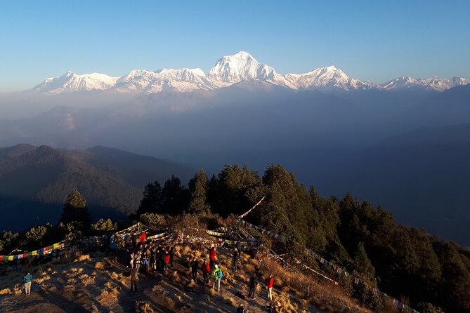 8 Days Short Trek and Tour in Nepal - Meal Plan and Dietary Restrictions