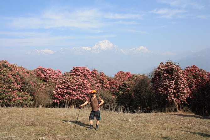 Annapurna Poon Hill Trekking - 4 Days From Pokhara - Included Services and Amenities