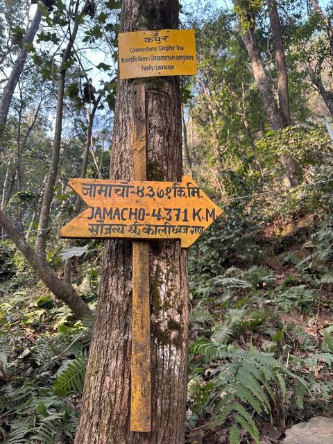 Best 1 Day Hiking Near Kathmandu: Nagarjun Jamacho Hike - Booking Information