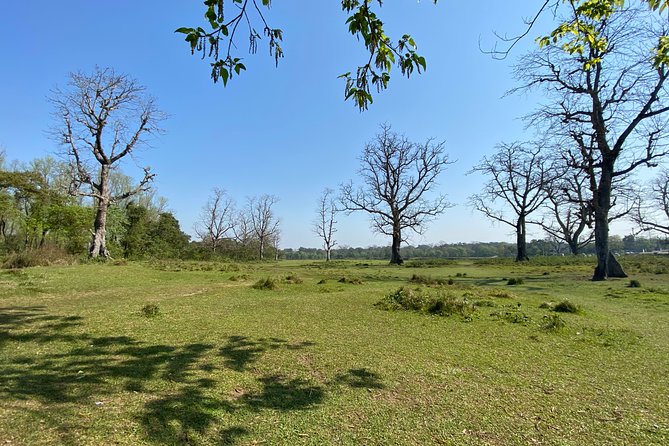 Canoeing and Nature Walk in Chitwan National Park - Booking Details