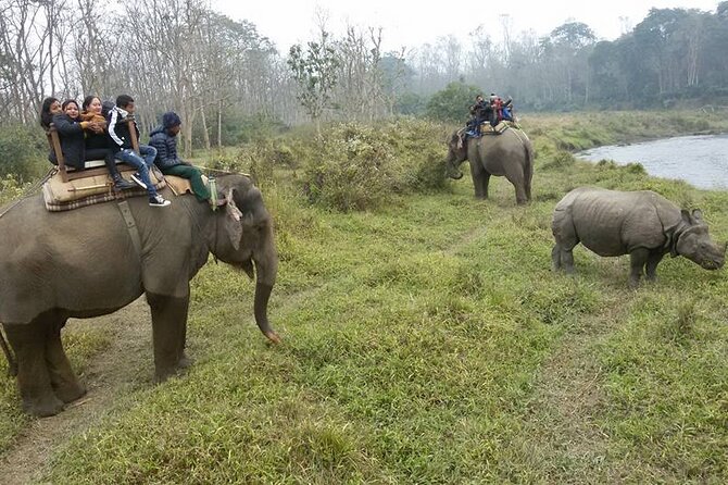 Chitwan Jungle Safari Tour – 2 Night /3 Days With Private Transportation - Itinerary