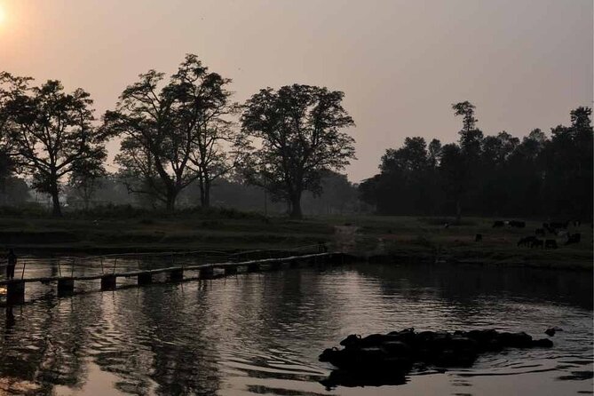 Chitwan National Park Jungle Safari Tours 3 Days - Final Words