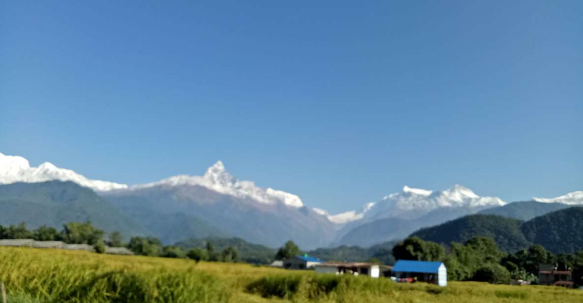 Day Hiking Dhampus Australian Camp From Pokhara - Experience Highlights