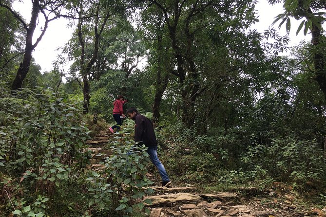 Easy Hiking to Dhampus Village From Pokhara - Best Time to Visit Dhampus Village