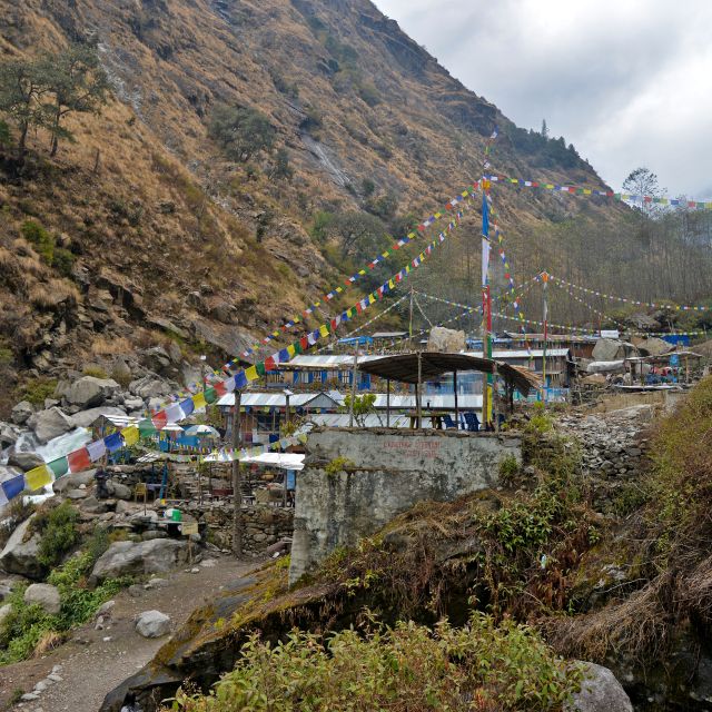 From Kathmandu: 16-Day Langtang Valley Trekking Tour - Booking and Pricing Information