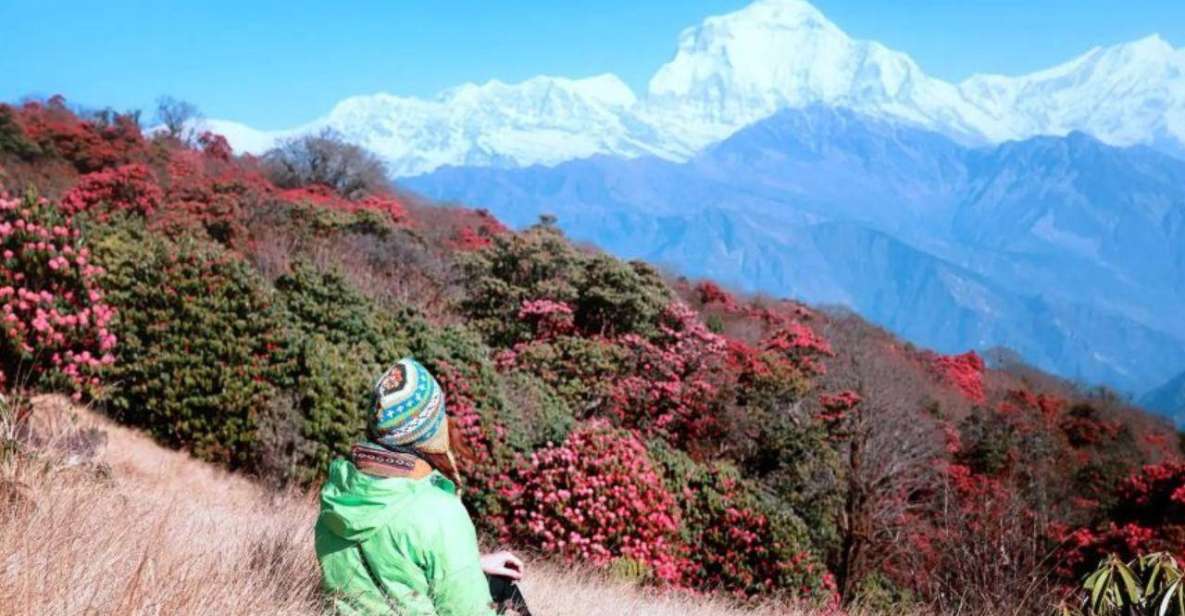 From Kathmandu: 5 Day Poon Hill and Ghandruk Guided Trek - Itinerary Details