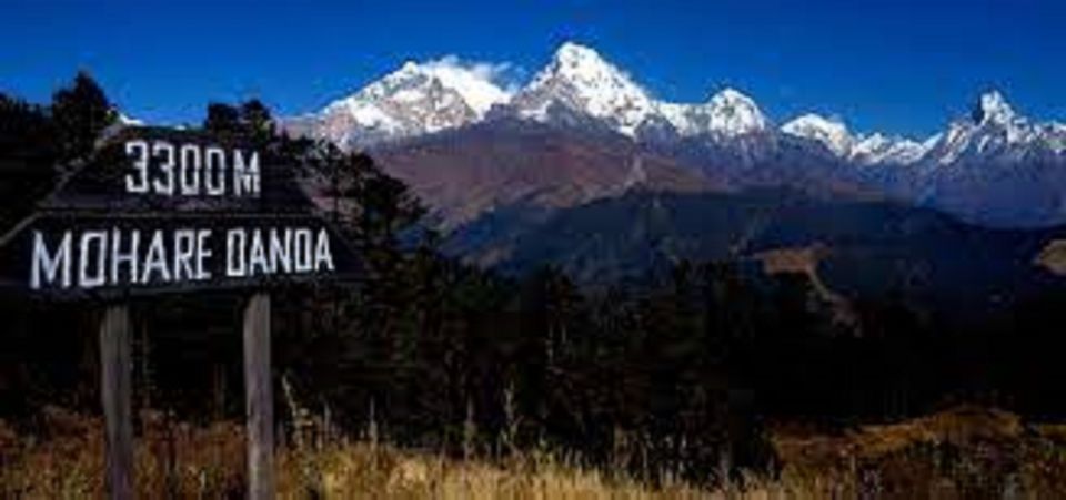 From Pokhara: 3 Night 4 Days Mohare Danda & Poon Hill Trek - Experience Highlights