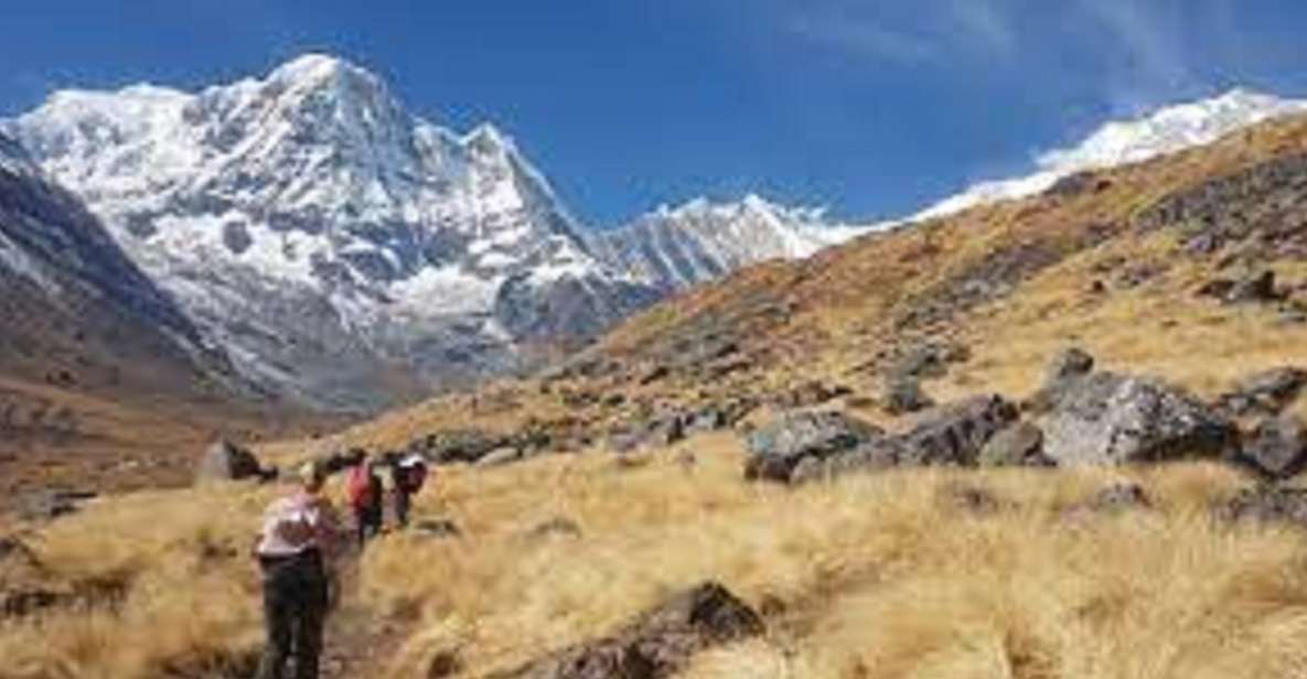 From Pokhara : Budget 6 Night 7 Day Annapurna Basecamp Trek - Trek Experience Highlights