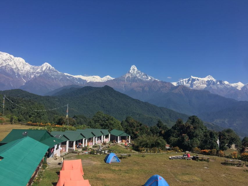 From Pokhara: Short Annapurna Base Camp Trek 6 Days - Day 3 - Annapurna Base Camp Trek
