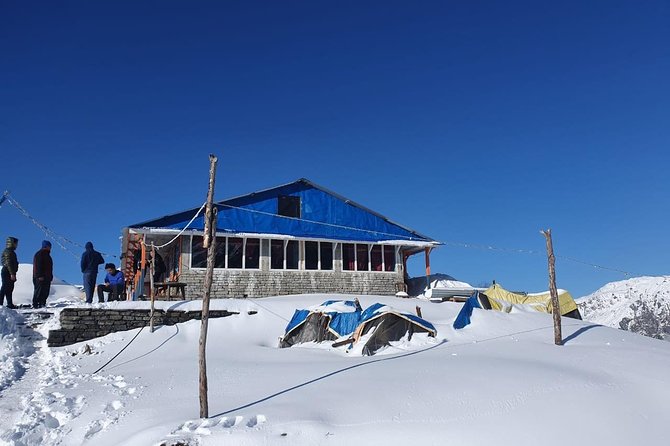 Mardi Himal Base Camp Heli Landing Tour From Pokhara - Tour Highlights