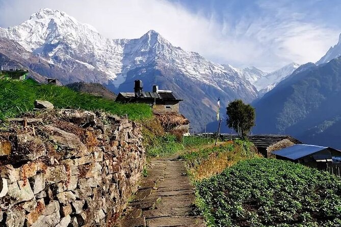 Multi-Day Ghandruk Trek in Pokhara - Reviews and Ratings