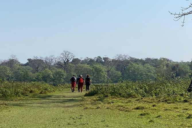 Nature Walk in Chitwan Jungle Safari With Guide - Reviews and Ratings Analysis