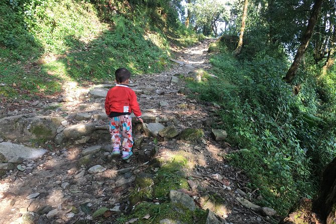 Pokhara: Day Hiking Form Dhampus to Australian Camp - Experience Highlights