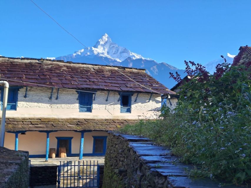 Pokhara : Easy Day Hiking in the Himalayan Foothills - Detailed Itinerary Breakdown