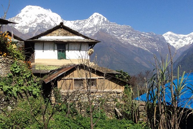 Poonhill Trekking - Accommodation and Meals