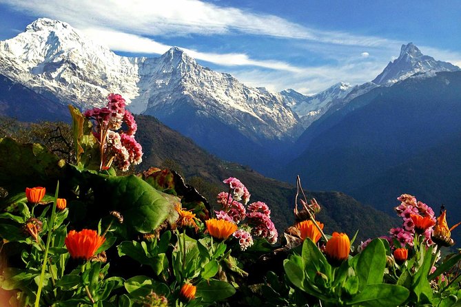 3 Days Ghorepani Poonhill Trek From Pokhara - Trek Itinerary Overview