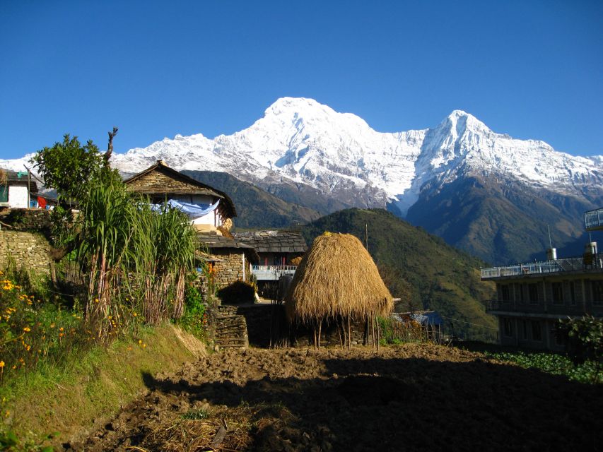 3 Days Poon Hill Trek With Alpine Eco Trek - Good To Know