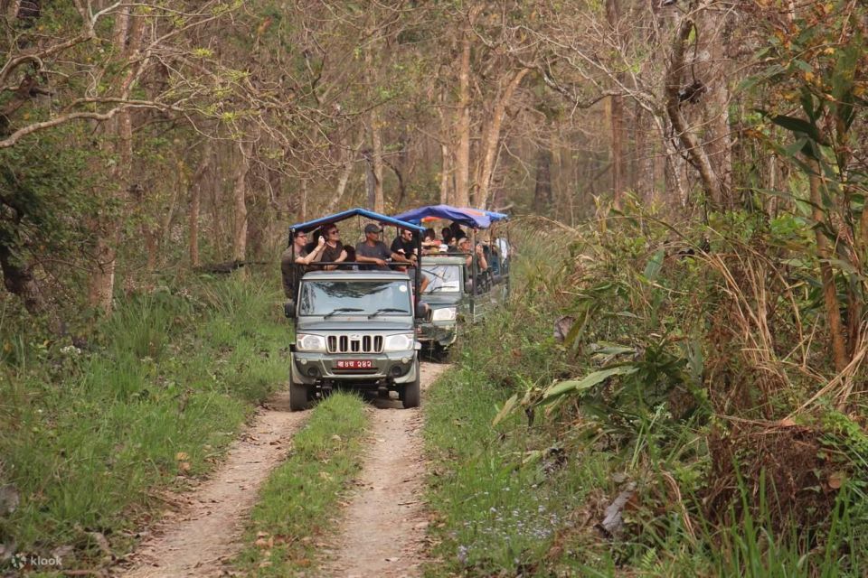 1 Night 2 Day Chitwan Jungle Safari Tour - Booking, Cancellation, and Flexible Options