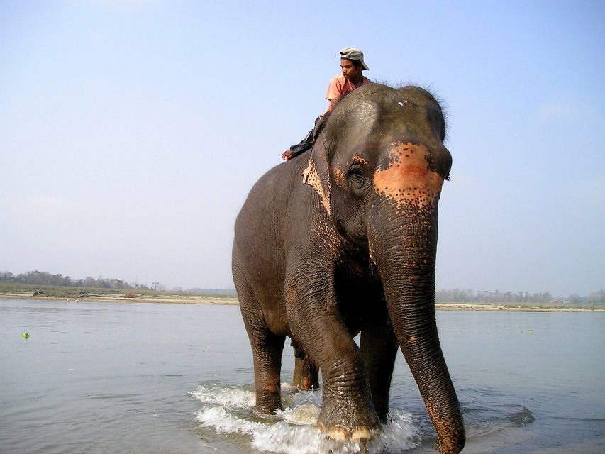 2 Night 3 Days Chitwan Jungle Safari Tour (Full Board) - Inclusions