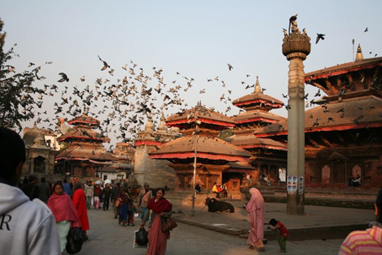 4 Day Glimpse of Nepal Tour - Inclusions and Services