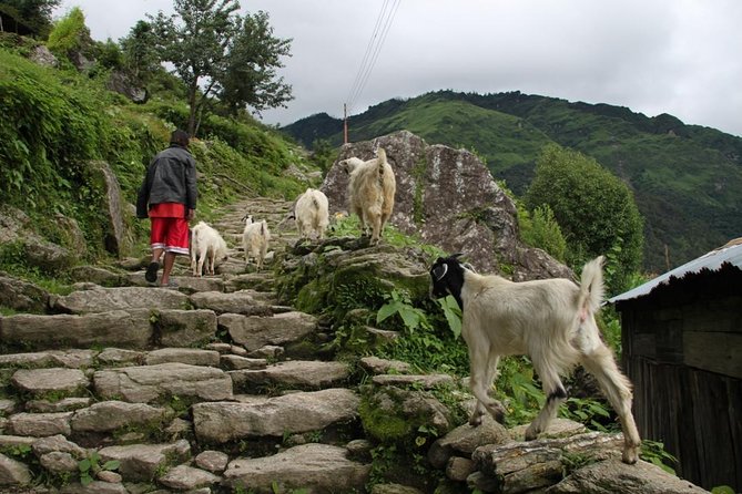 Annapurna Mini Trek - Cultural Experiences on the Trail