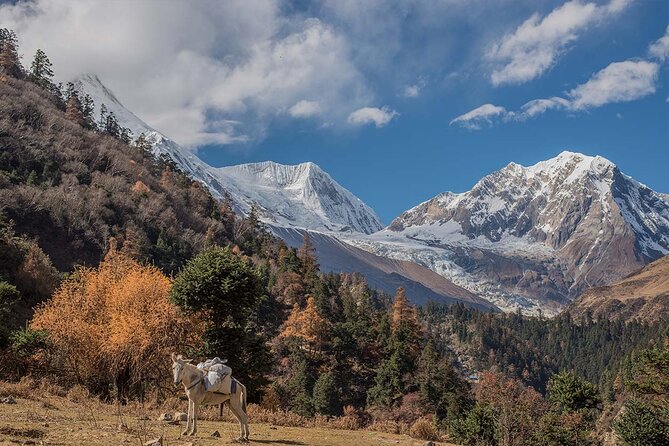 Around Manaslu Trek - Altitude Considerations