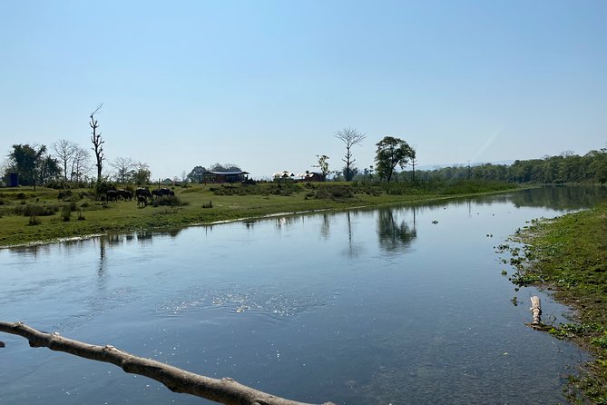 Canoeing and Nature Walk in Chitwan National Park - Service Inclusions