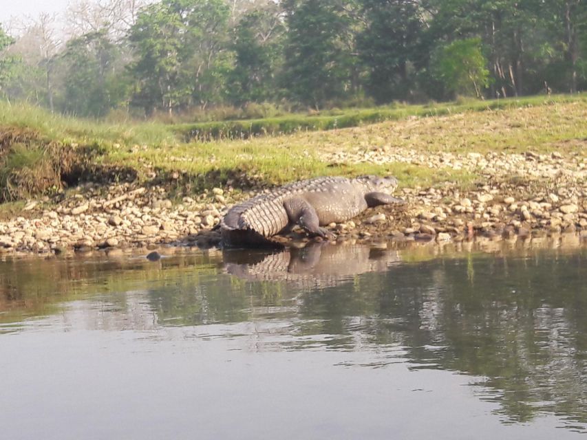 Chitwan National Park Safari - Inclusions in the Safari Package
