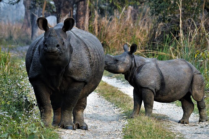 Chitwan Tour Packages - Pricing Information and Inclusions