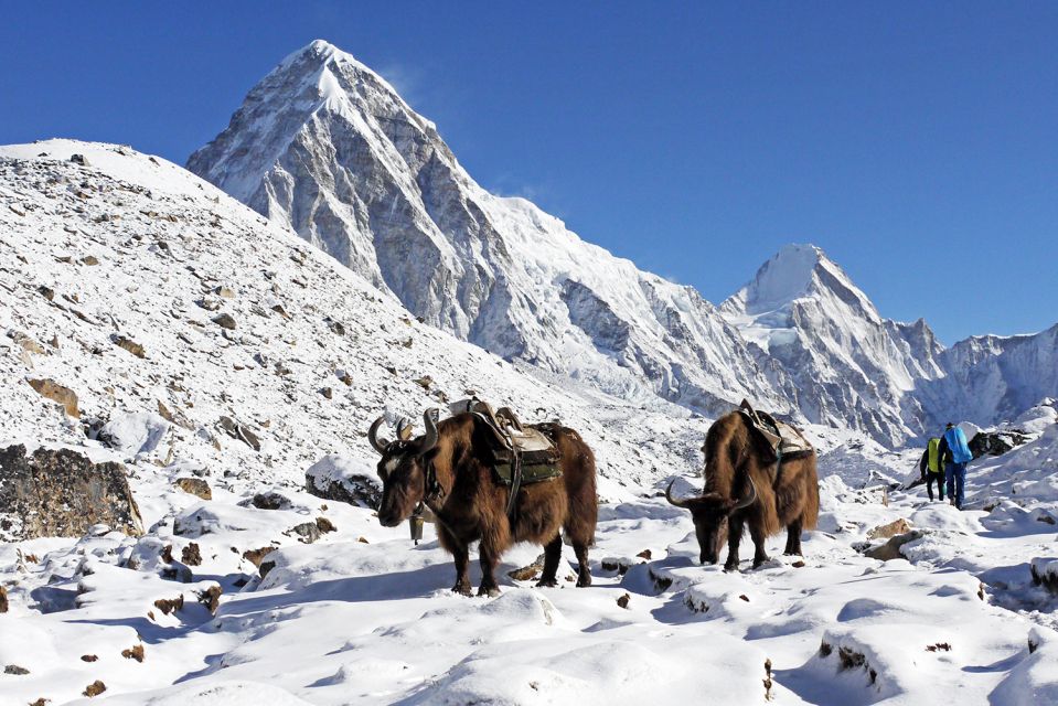 Everest Base Camp Short Trek- 12 Days - Tour Guide Services