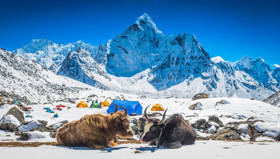 Everest Base Camp Trek: Majestic Himalayan Adventure Expert - Challenges and Preparations