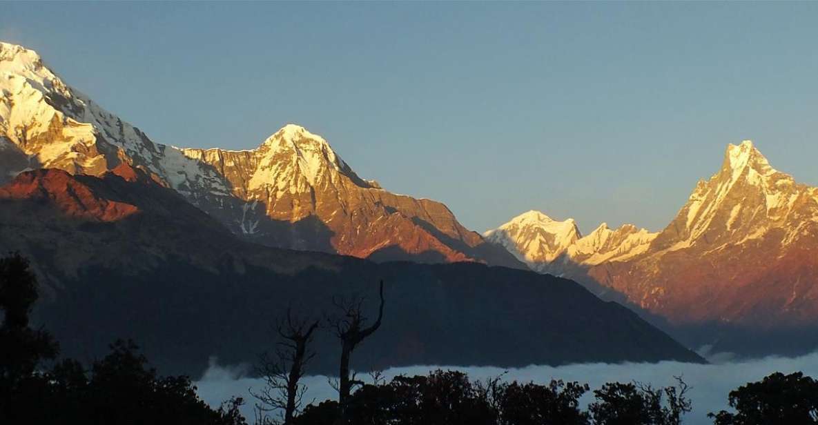 From Kathmandu Buget: 7 Day Mulde View Point & Poonhill Trek - Full Description