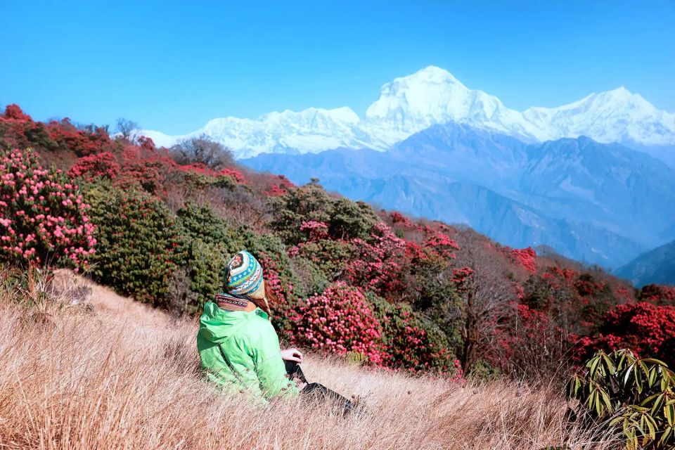 From Pokhara: 2 Day Ghorepani Poon Hill Short Trek - Cancellation and Reservation Policy