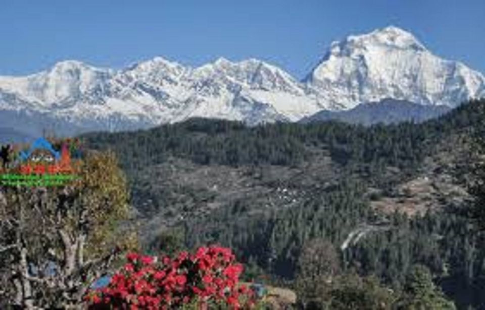 From Pokhara: 3 Night 4 Days Mohare Danda & Poon Hill Trek - Essential Tips for the Trek