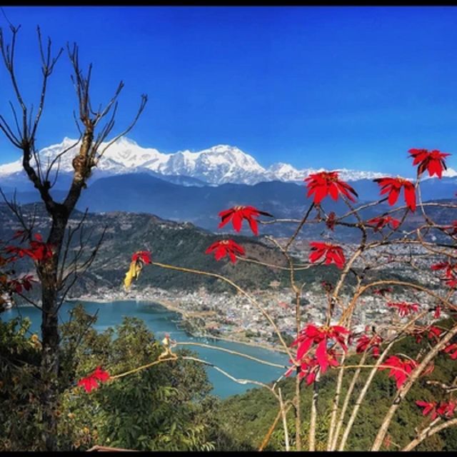From Pokhara: Guided Tour to Visit 4 Himalayas View Point - Pumdikot Hill Panorama