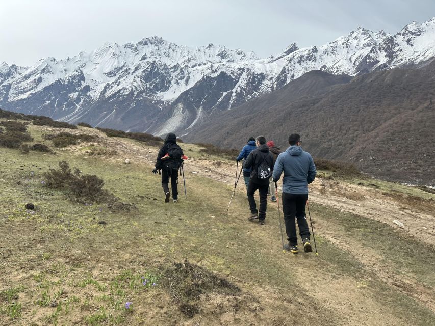 Langtang Kyanjin GompaTrek - Enjoy Panoramic Himalayan Views
