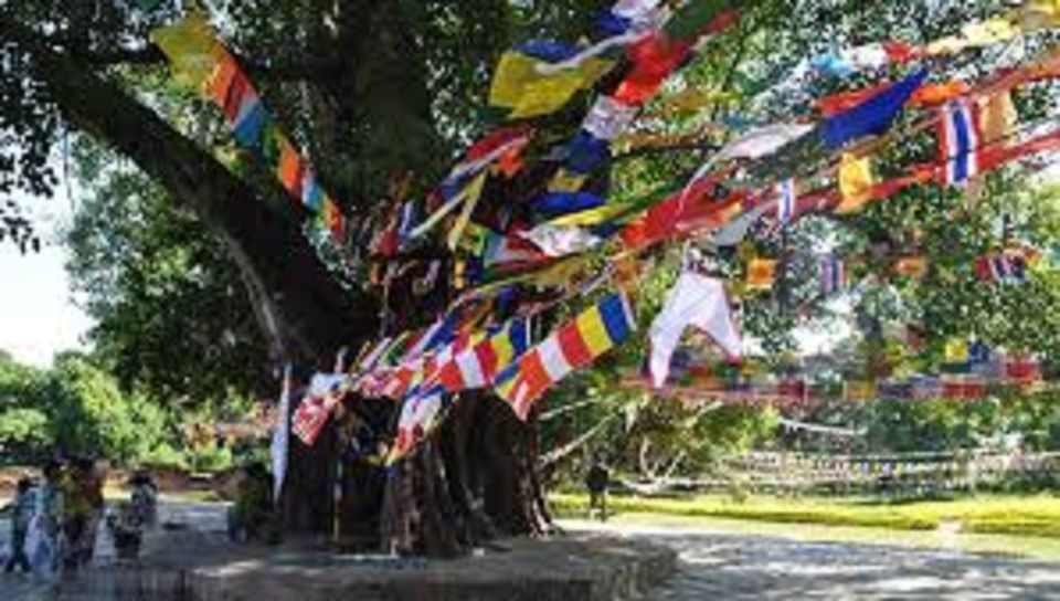 Lumbini Full Day Tour With Guide - Tour Highlights