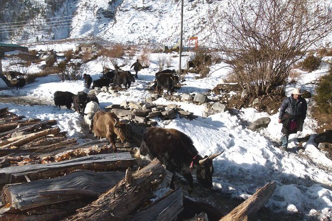 Manaslu Circuit Trek 17 Nights 18 Days - Trek Highlights