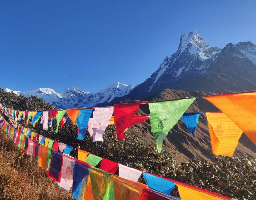 Mardi Himal Base Camp Yoga Trek 7-Day - Scenic Delights