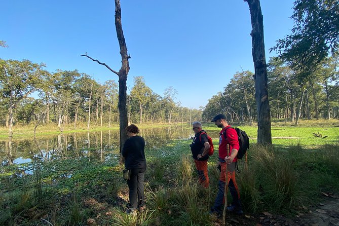 Nature Walk in Chitwan Jungle Safari With Guide - Traveler Resources Information