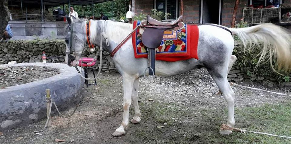 Pokhara: 2.5-Hour Horse-Pony Ride in Nature - Full Description